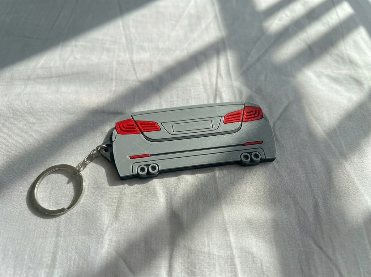F10 2013 (Back View)